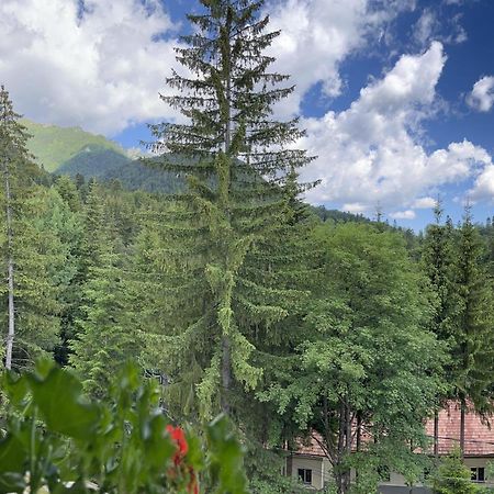Casa Iris-Hotel & Restaurant Sinaia Exteriér fotografie