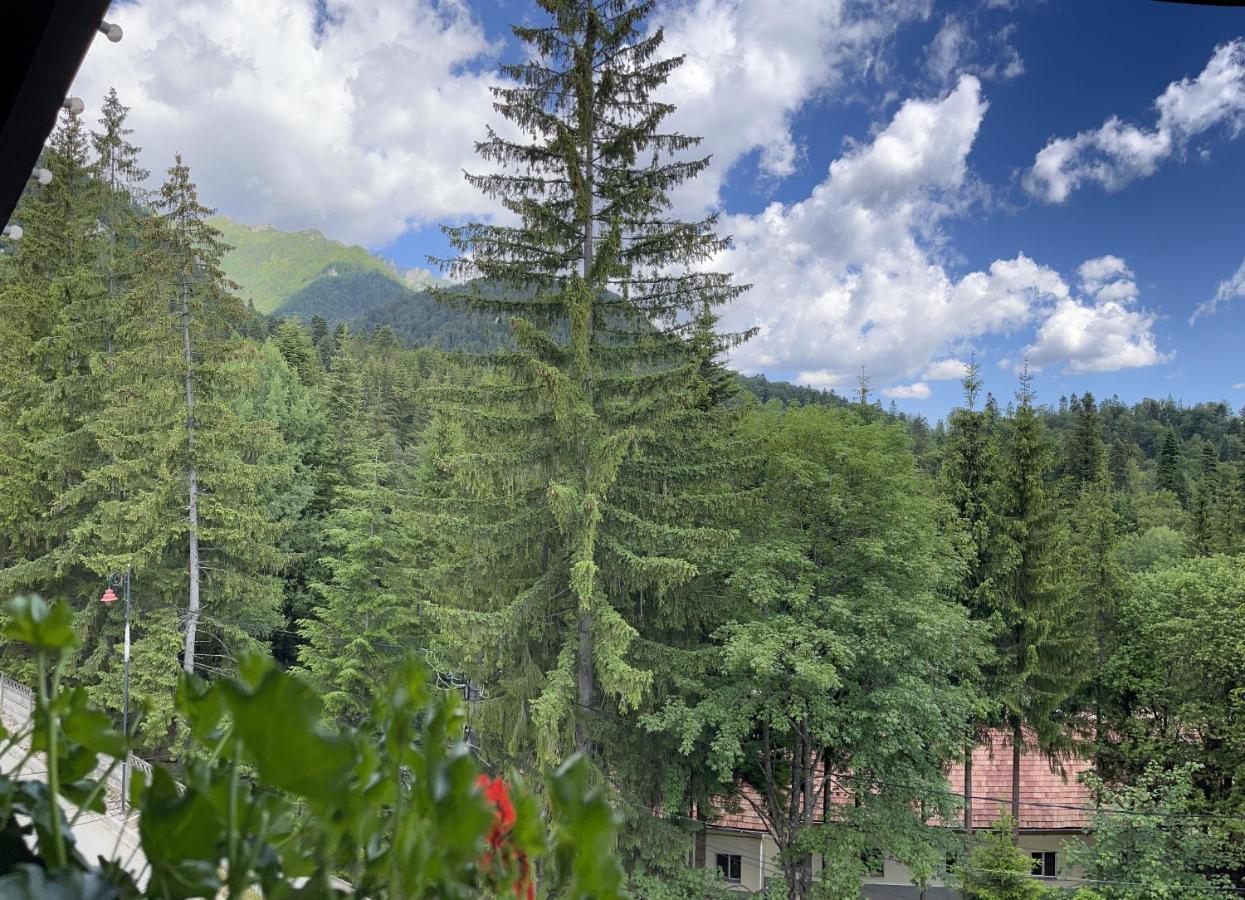 Casa Iris-Hotel & Restaurant Sinaia Exteriér fotografie